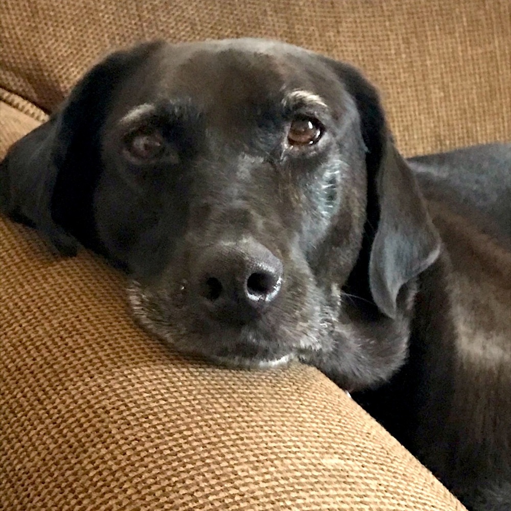 Reasonable offers welcome!